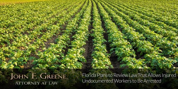 Florida Plans to Review Law That Allows Injured Undocumented Workers to Be Arrested